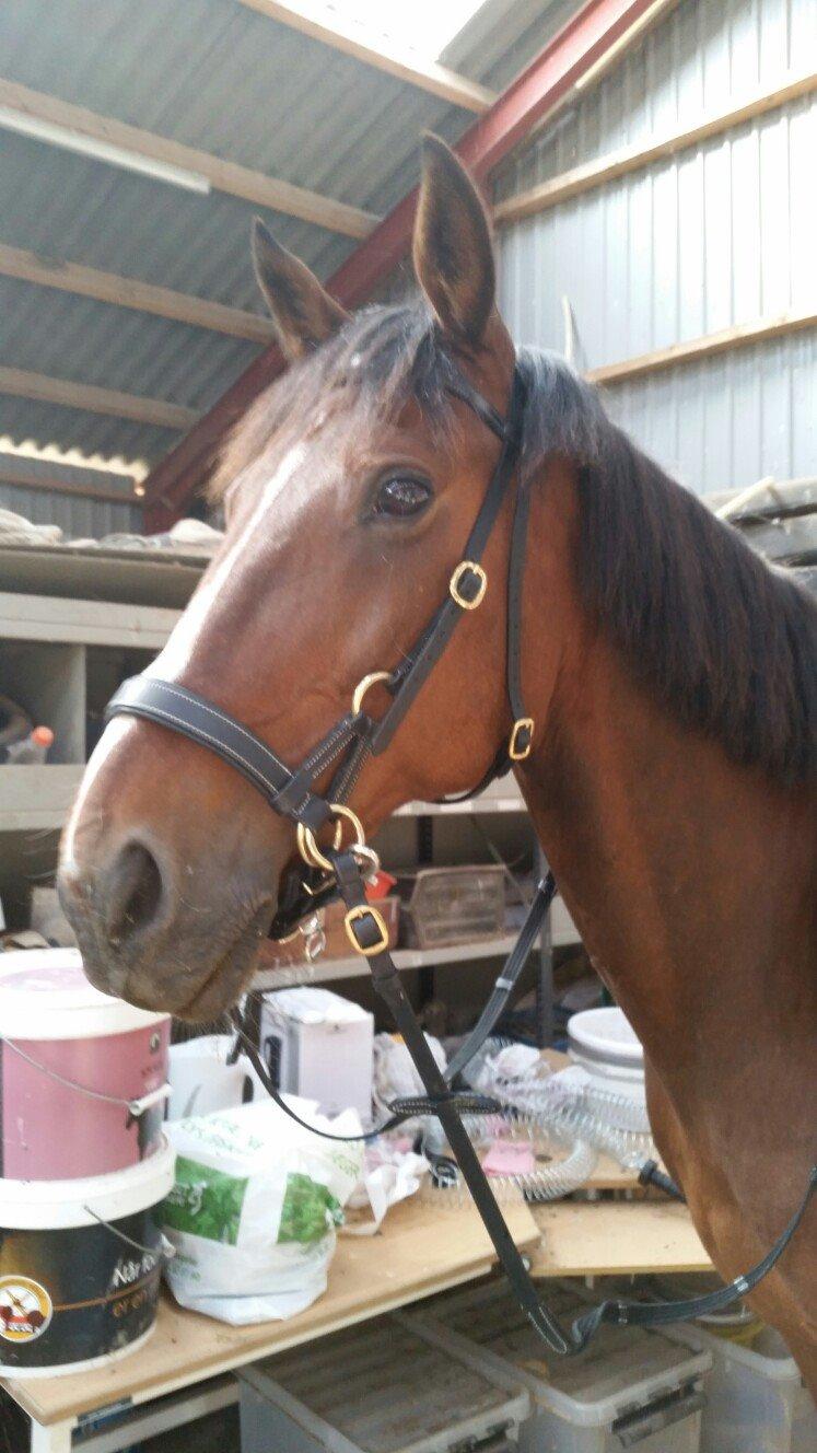 Traver Prince Del (Prins) - Smukke basse <3 billede 1