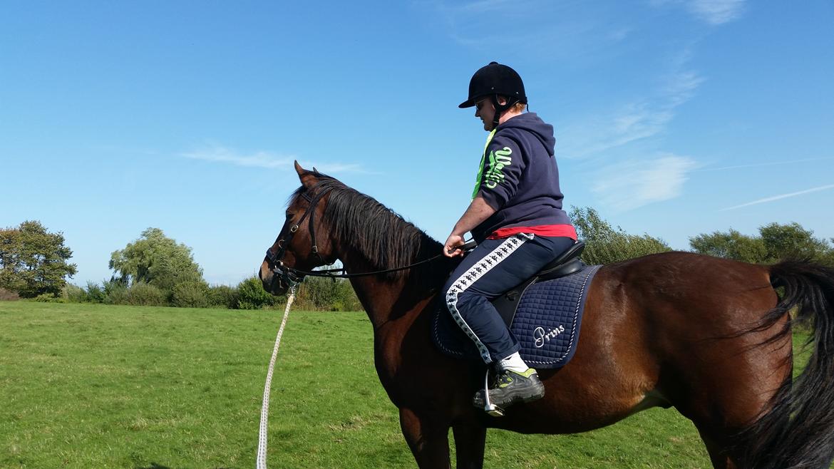 Traver Prince Del (Prins) - Min venninde ude og prøve at sidde på hest :) billede 18