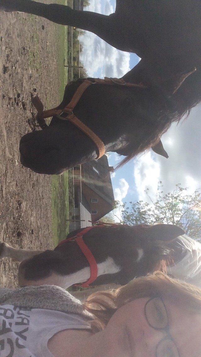 Pinto Stald Almindes Citka Jasmina  billede 9