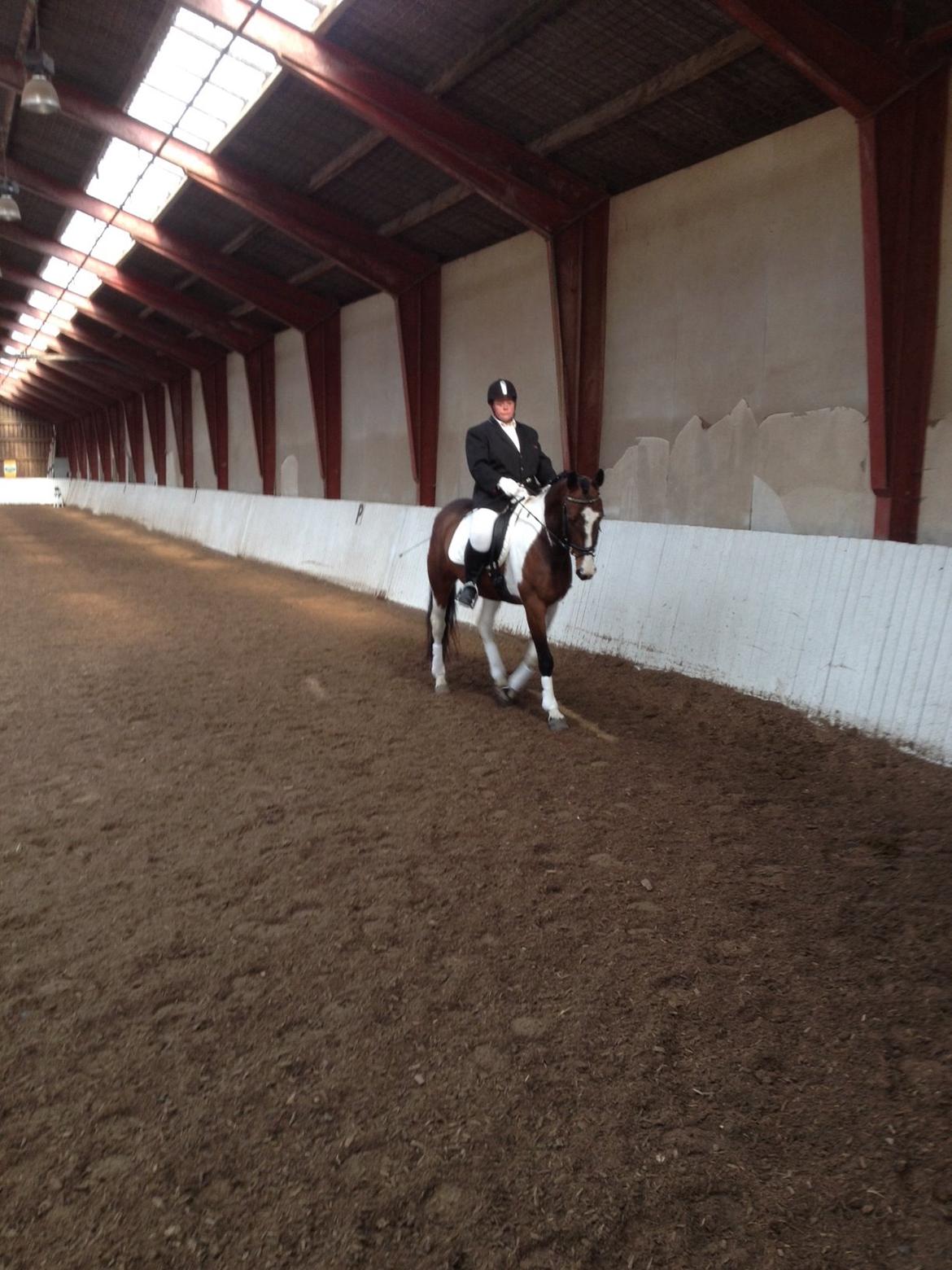 Anden særlig race Refsgaards Mon´Cheri. SOLGT billede 1