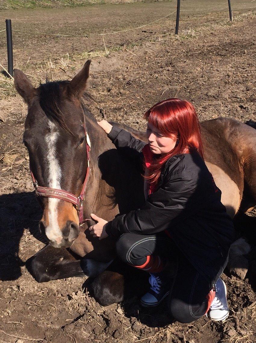 Dansk Varmblod njd/skovly's filuca billede 15