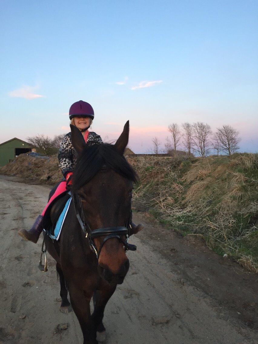 Traver Crazy Diamond billede 2