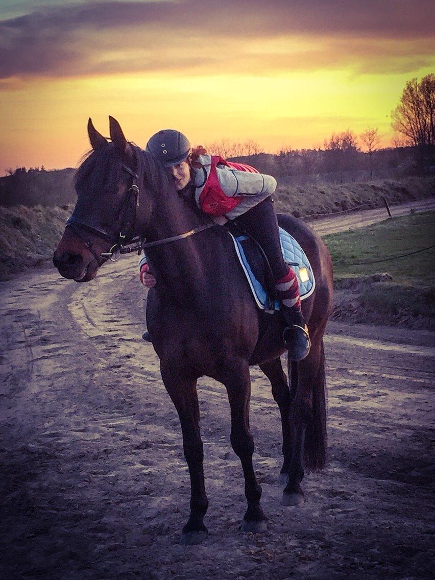 Traver Crazy Diamond billede 1