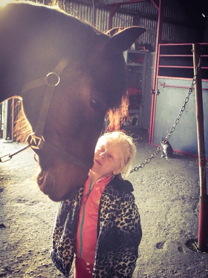 Traver Crazy Diamond billede 3