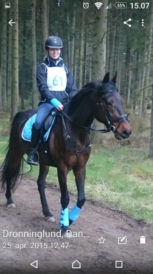 Traver Crazy Diamond billede 7