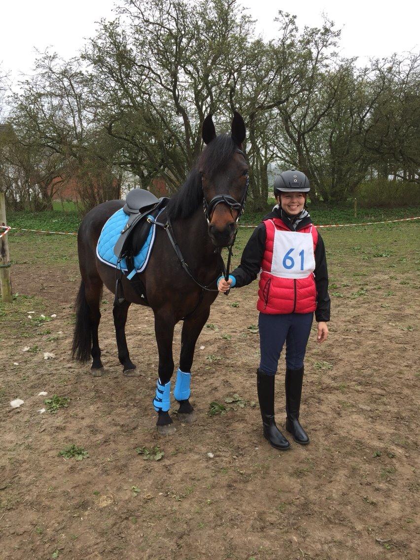 Traver Crazy Diamond billede 6