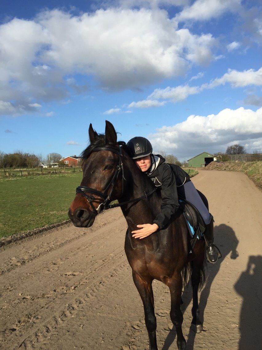 Traver Crazy Diamond billede 9