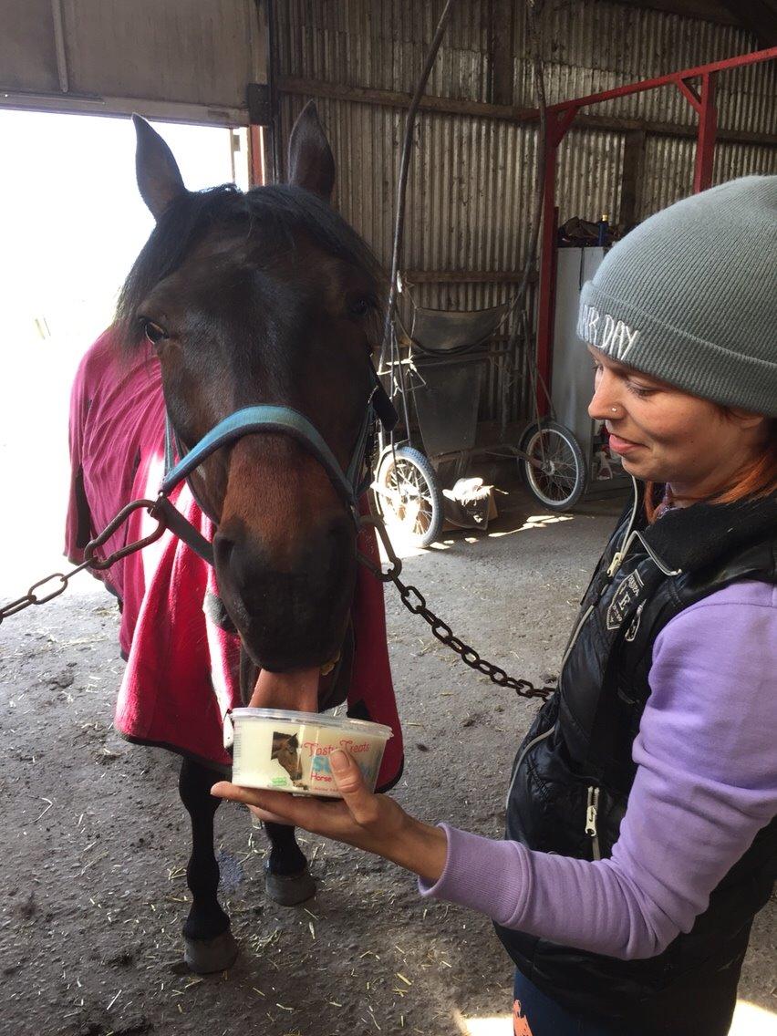 Traver Crazy Diamond billede 10