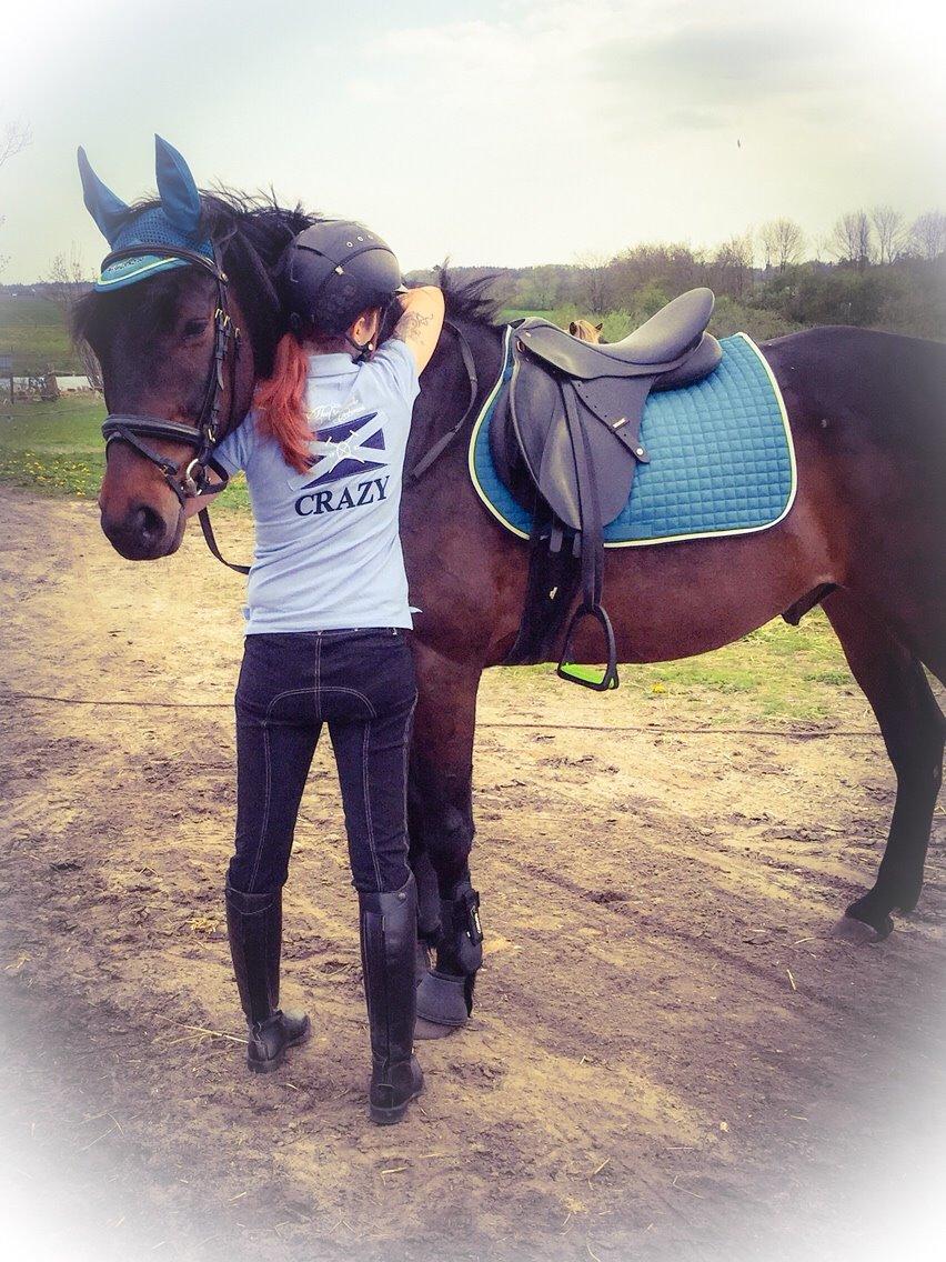 Traver Crazy Diamond billede 16