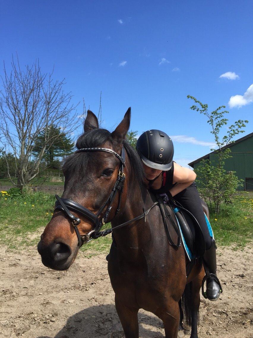 Traver Crazy Diamond billede 18