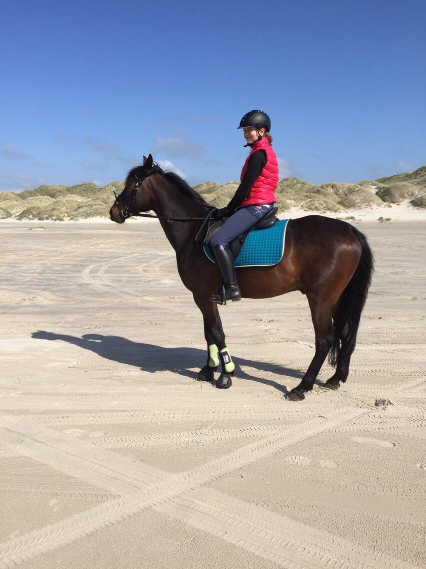 Traver Crazy Diamond billede 19