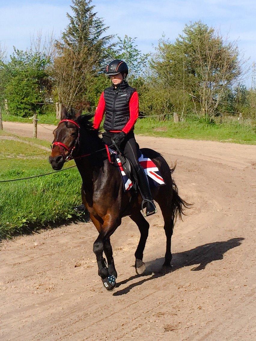 Traver Crazy Diamond billede 20