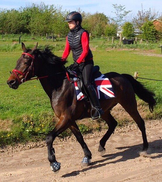 Traver Crazy Diamond billede 21