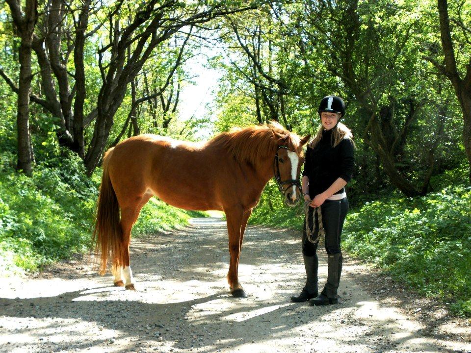 Anden særlig race Tara billede 6