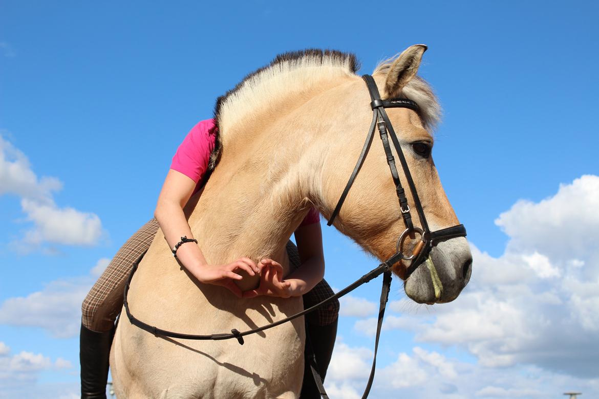 Fjordhest Sif (pony) ¤my soulmate¤ billede 7