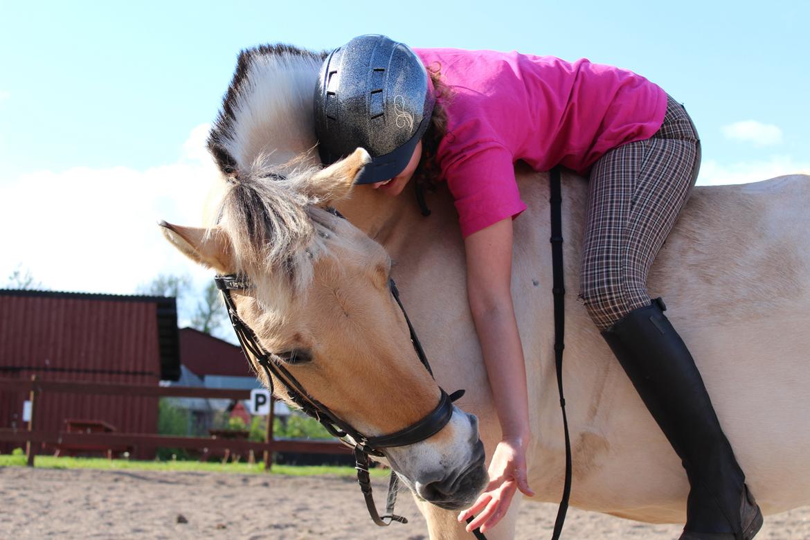 Fjordhest Sif (pony) ¤my soulmate¤ billede 27