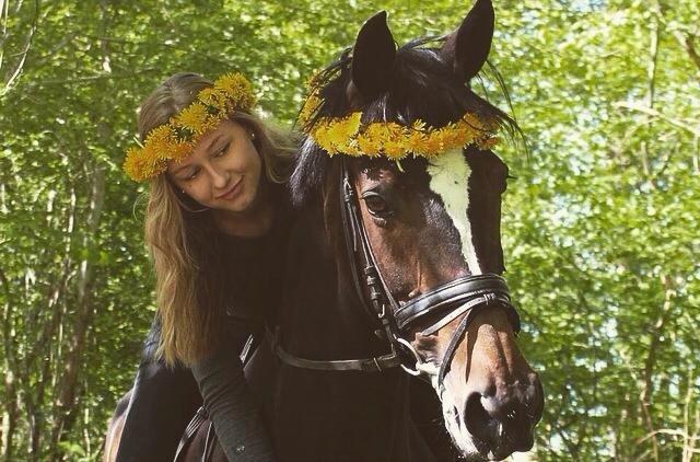 Dansk Varmblod Lillemarkens Cirkeline - Velkommen til Cirkelines galleri <3 billede 1
