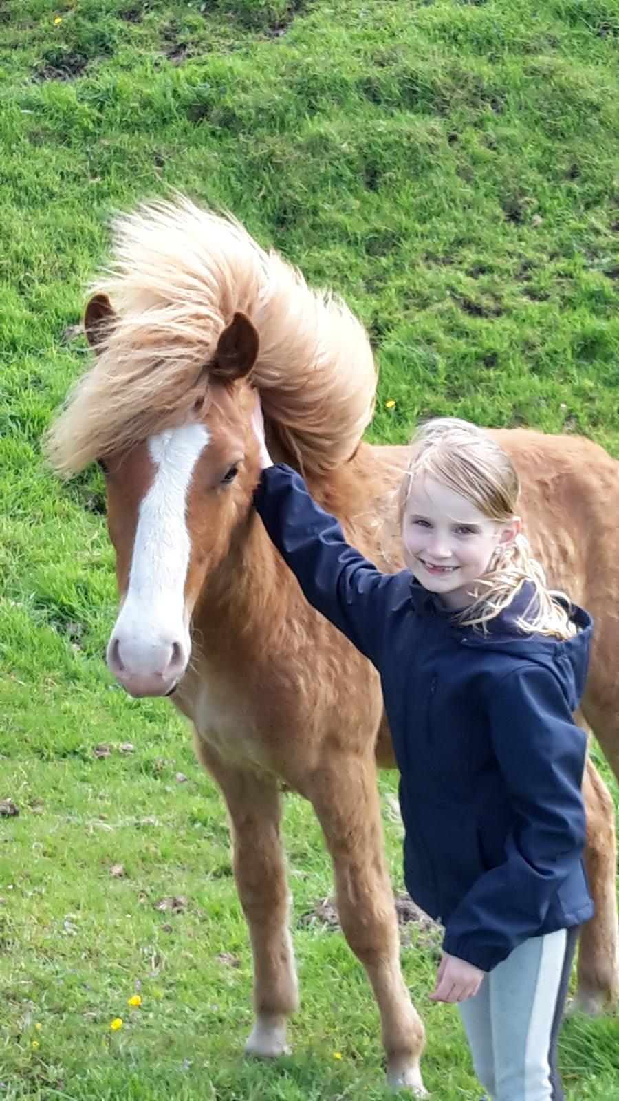 Islænder Àstríkur fra Iglsø billede 2