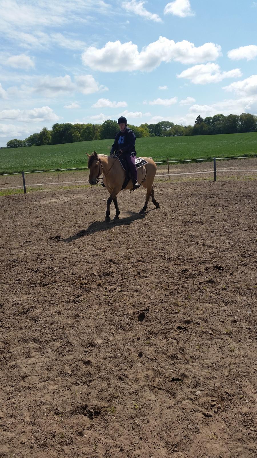 Anden særlig race Lille Kalle billede 8