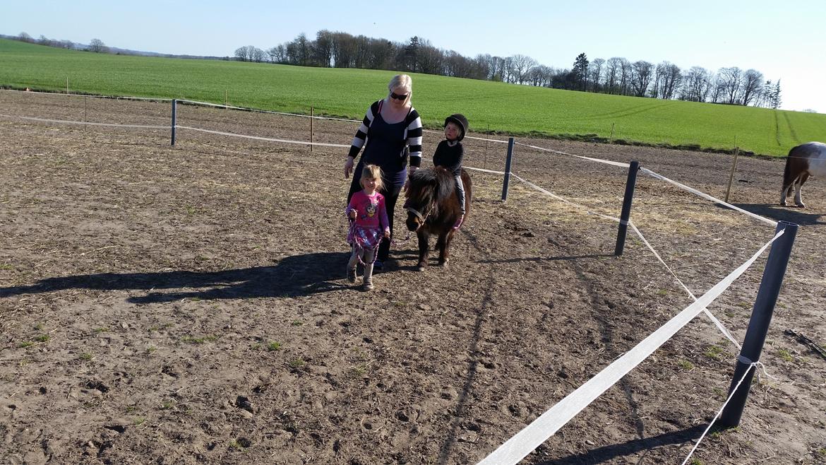 Anden særlig race Amanda billede 13