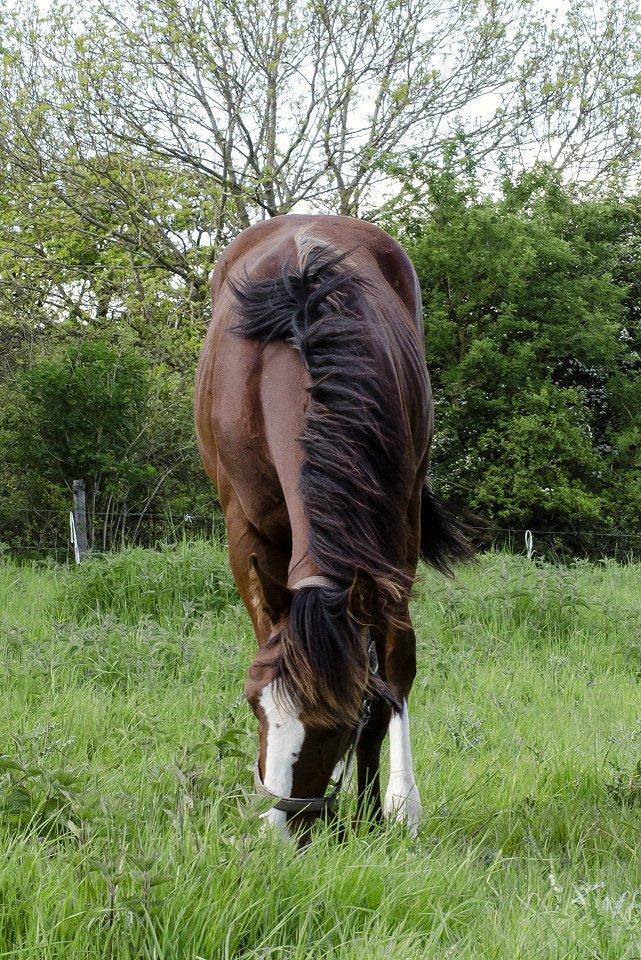 Traver Confetti Chase - 1 år gammel. 27-05-2015 billede 19