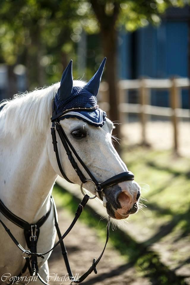 Anden særlig race Milky Way billede 19