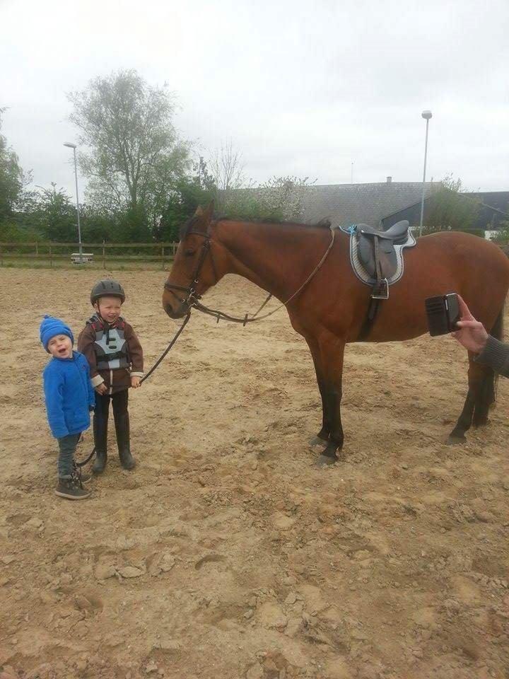 Anden særlig race *L*A*I*K*A* billede 17