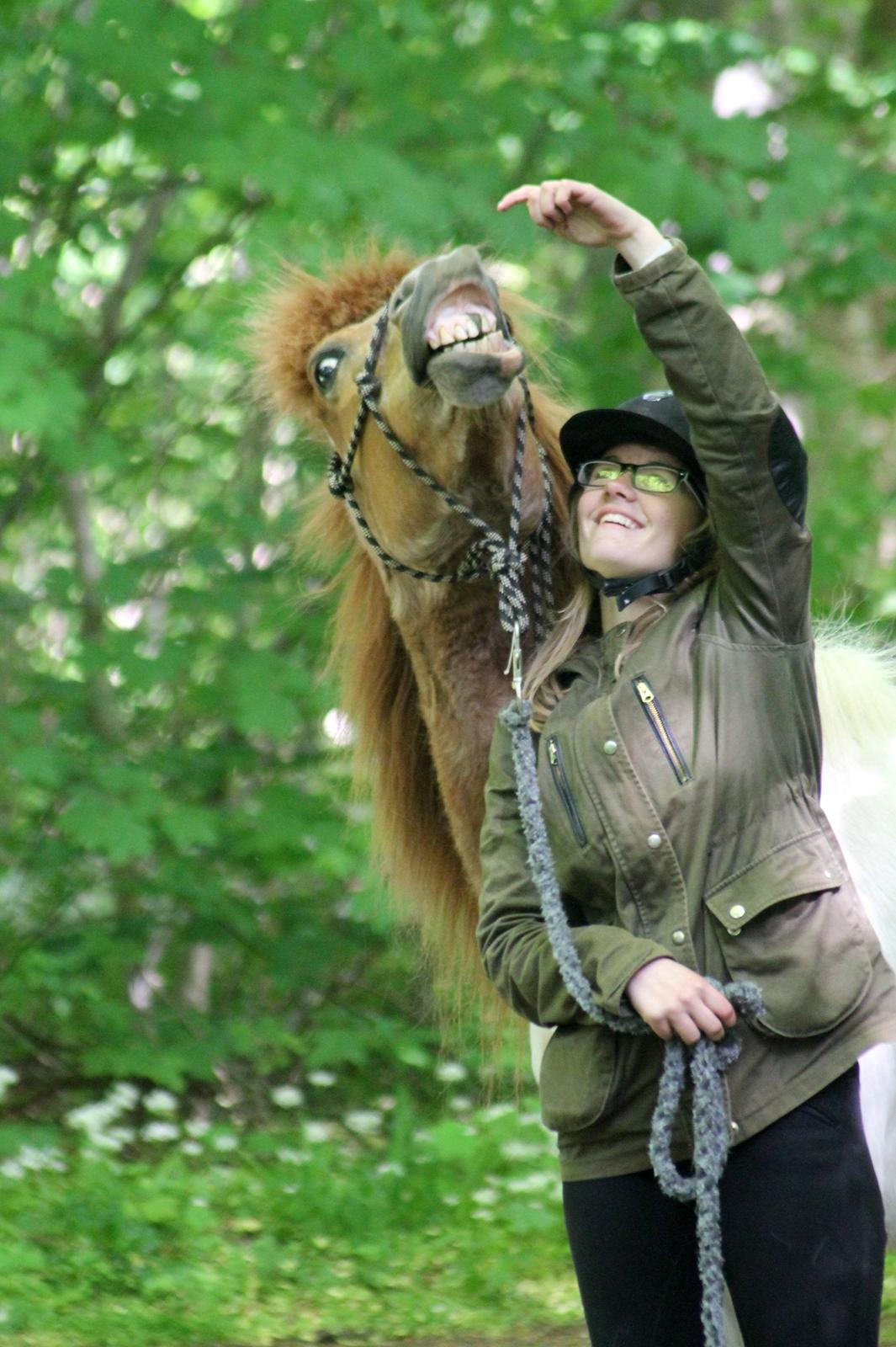 Islænder Kemba von Asbeck billede 1