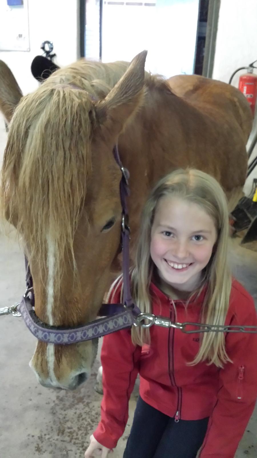 Islænder Alina billede 1