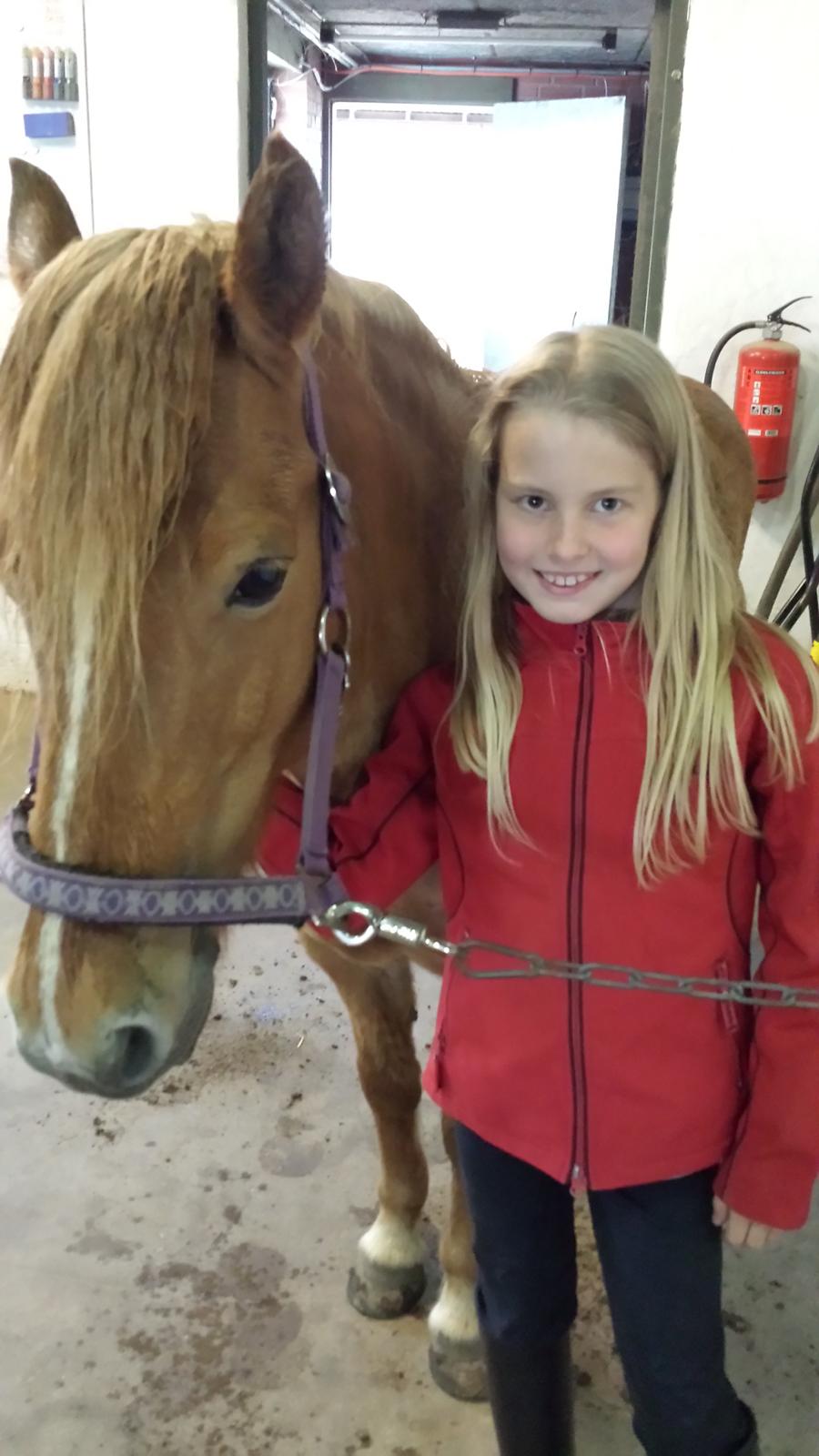 Islænder Alina billede 2