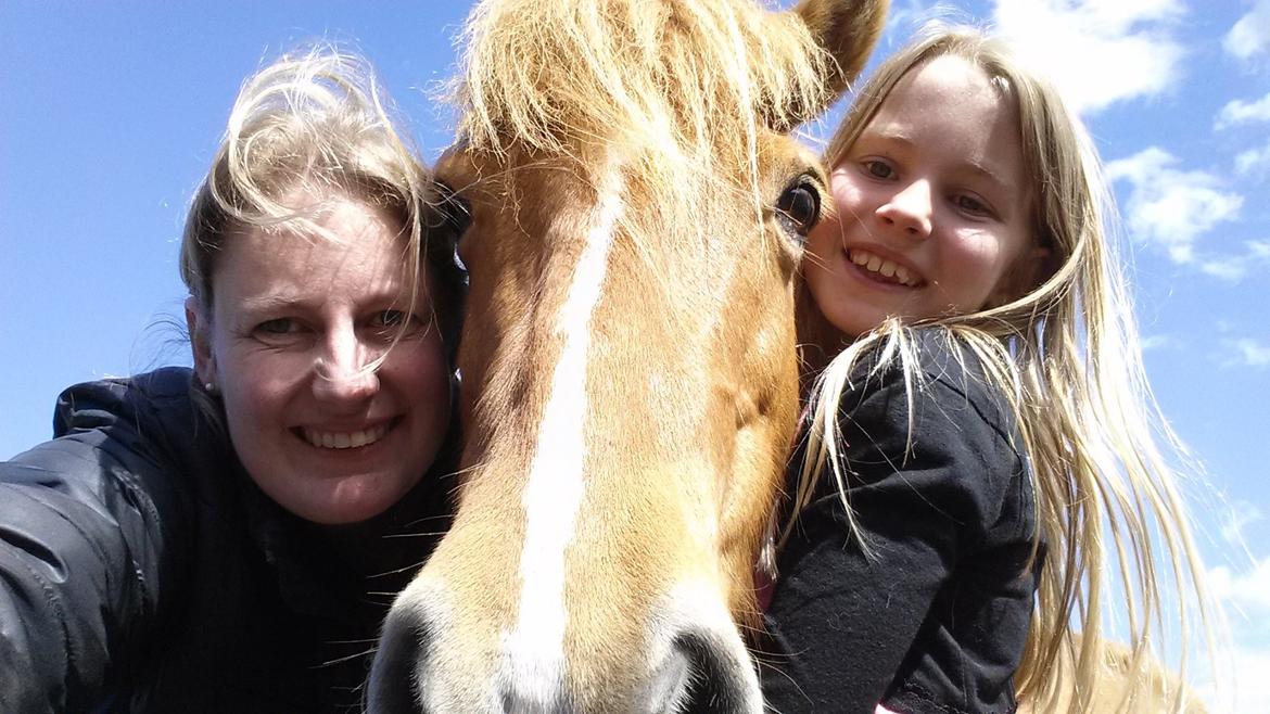 Islænder Alina billede 9