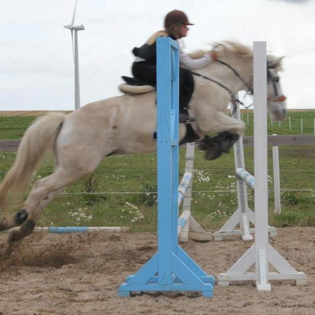 Anden særlig race Flying Blackie//Kiks - dengang vi var i form... hæhæ billede 8