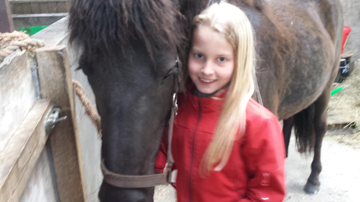 Islænder Börma billede 5