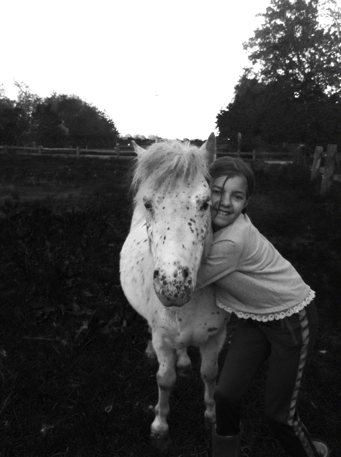 Anden særlig race Coco billede 4