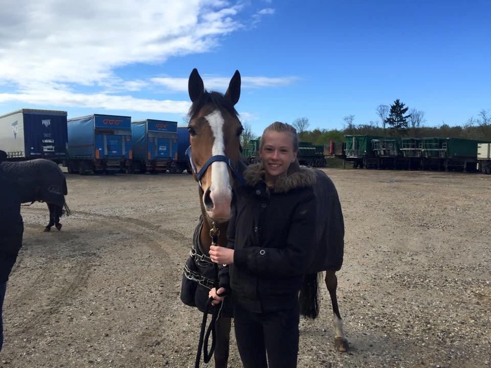 Irsk Sportspony Mystic Sandy - Da jeg lige havde fået hende billede 13