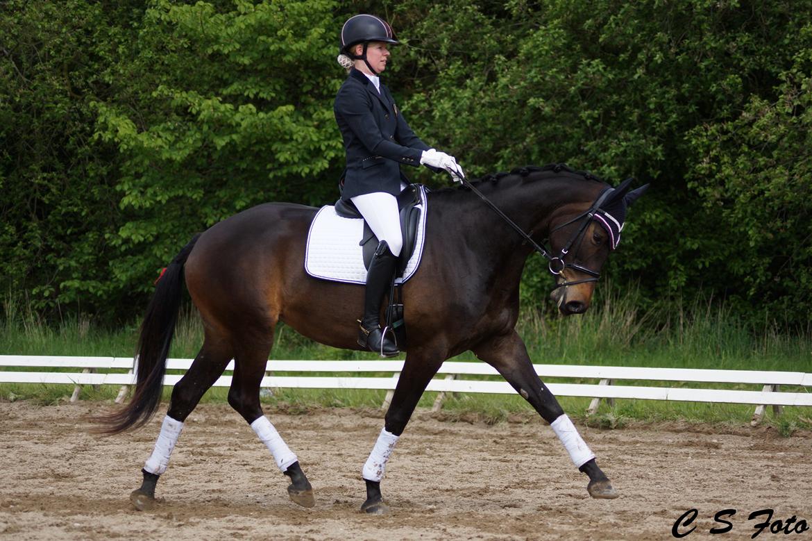 Trakehner Herbstmenuet billede 20