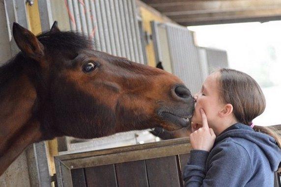 Anden særlig race ~ Jarl  - VELKOMMEN TIL JARLOS PROFIL! billede 1