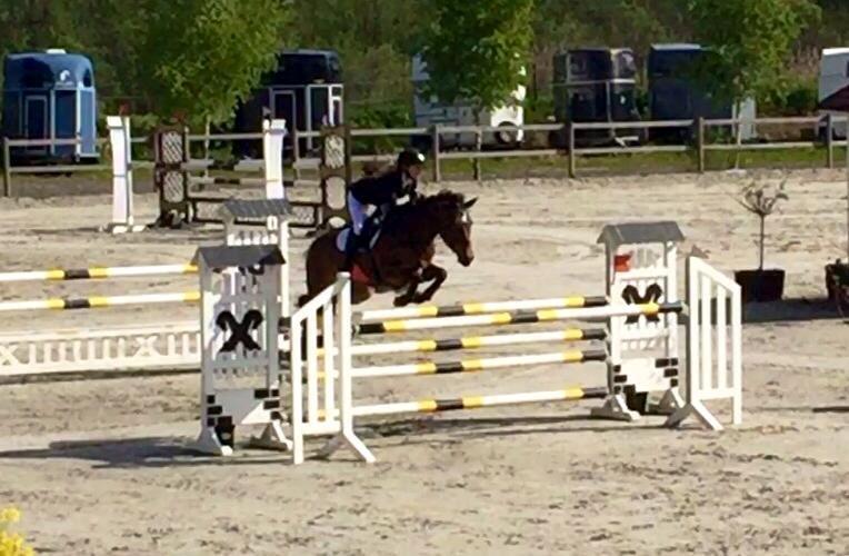 DSP Bæklunds Arquette - Baltic Cup, lille tur, første MA billede 8