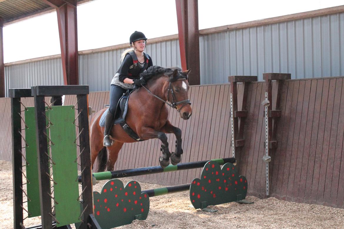 DSP Bæklunds Camikka billede 19