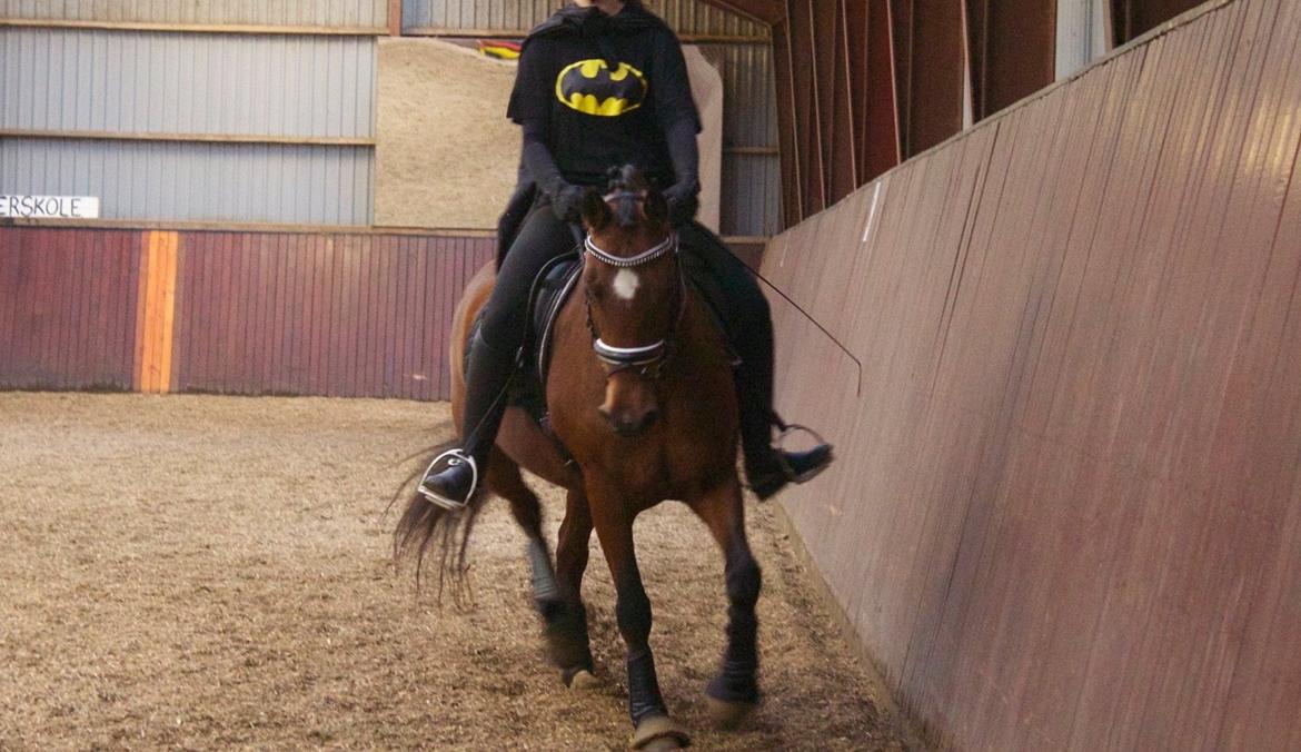 DSP Bæklunds Camikka billede 3