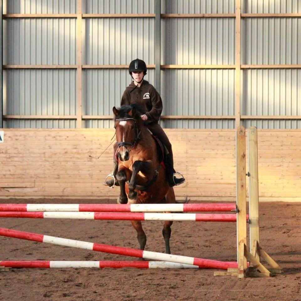 Anden særlig race Lacoste - Spring træning med bassen. billede 1