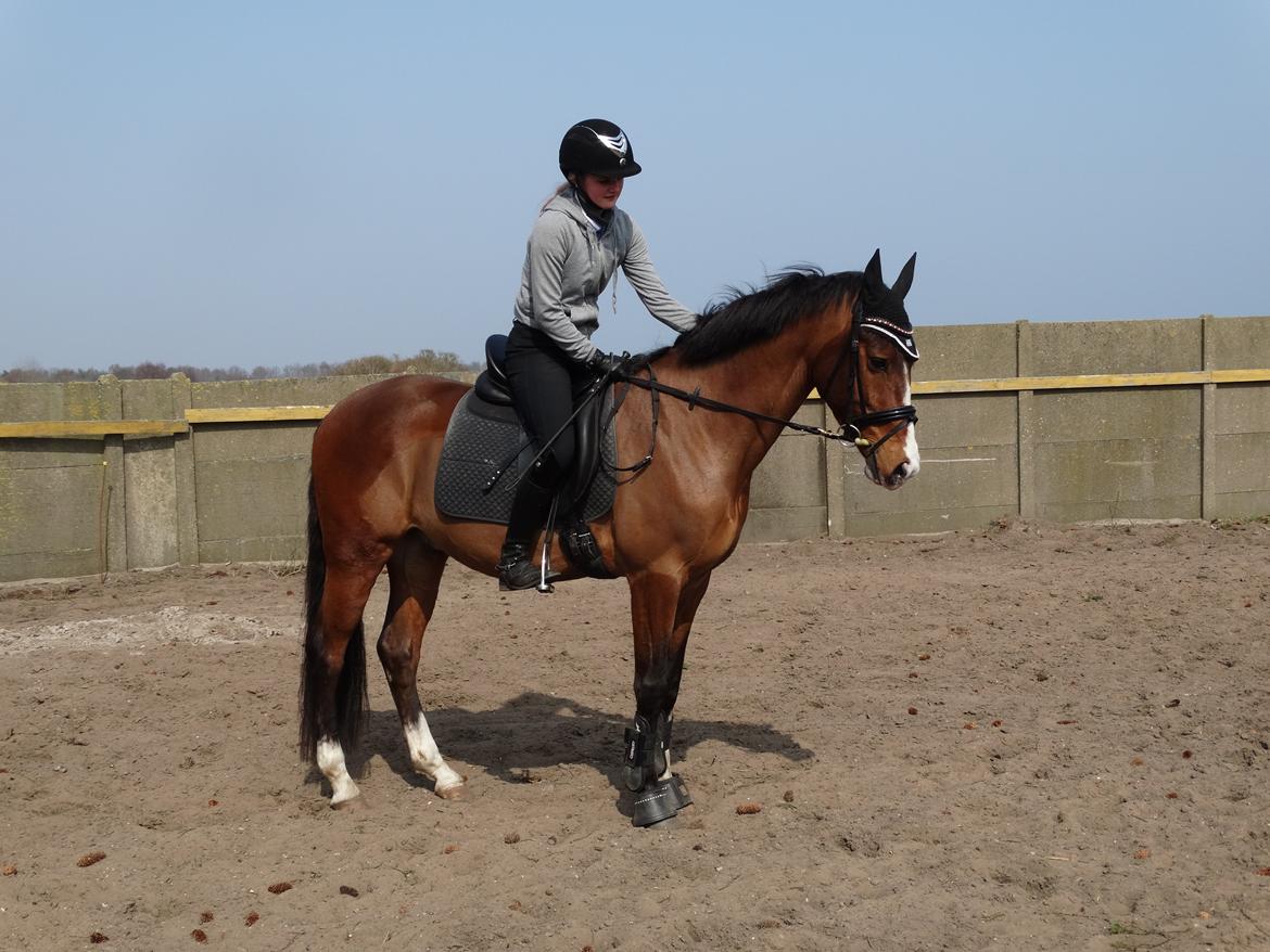 DSP Larsmindes Adriano billede 9