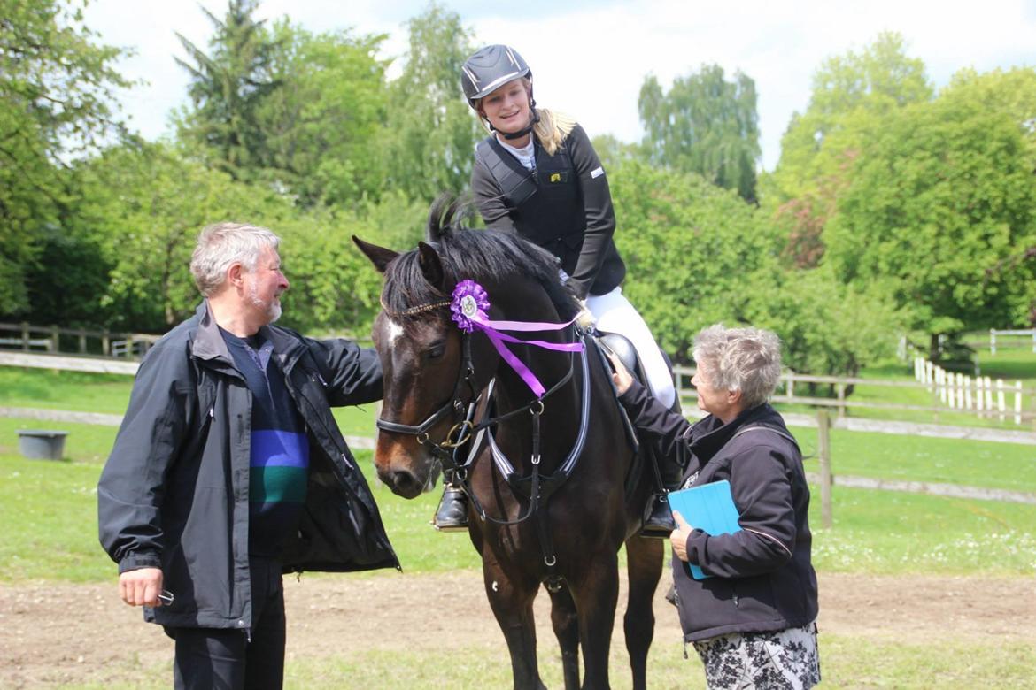 Anden særlig race Lover boy - Sløjfespring, 80 cm, HØS, maj 2015 - så sød!  billede 3