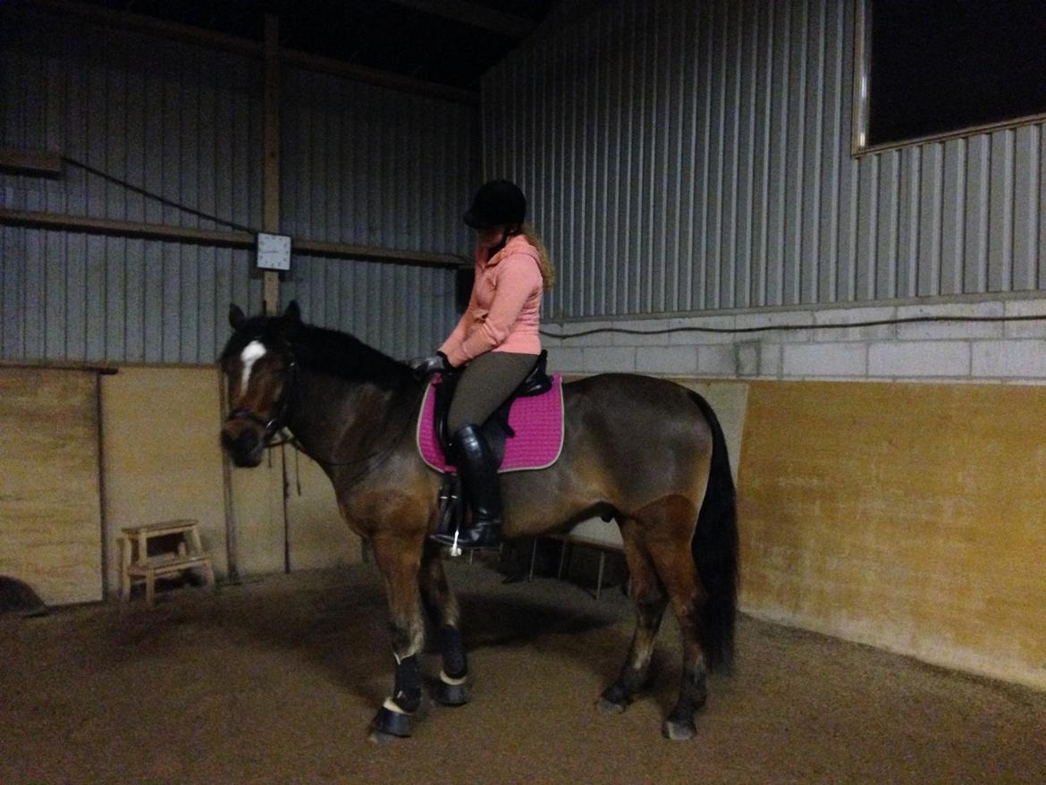 Anden særlig race Augustino - Manse foråret 2015.  billede 14