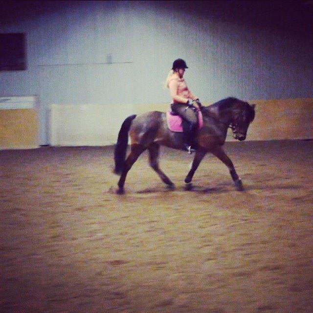 Anden særlig race Augustino - Manse foråret 2015  billede 17