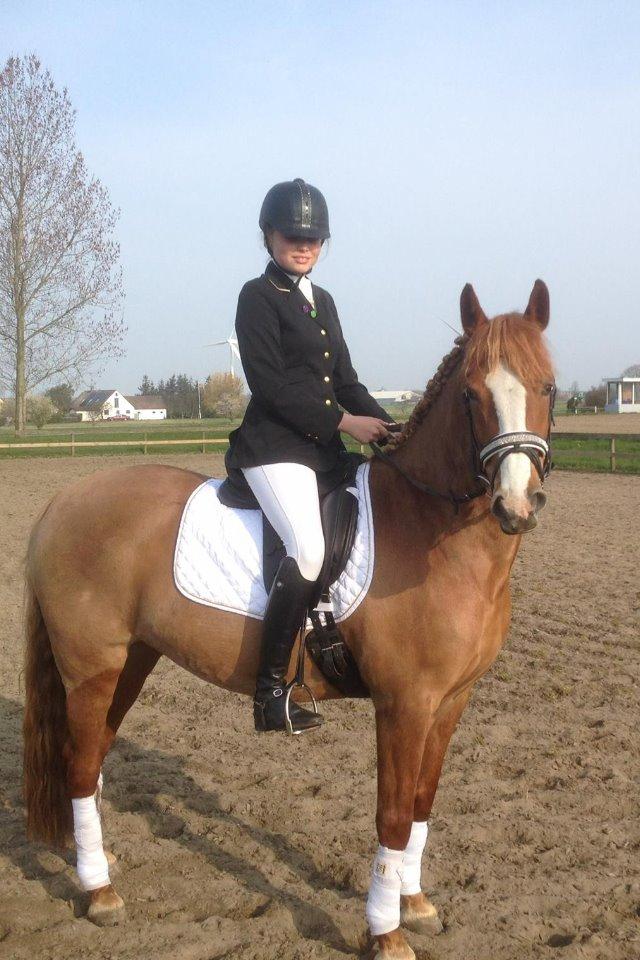 Anden særlig race Eponine!*<3 den bedste pony!<3 billede 6