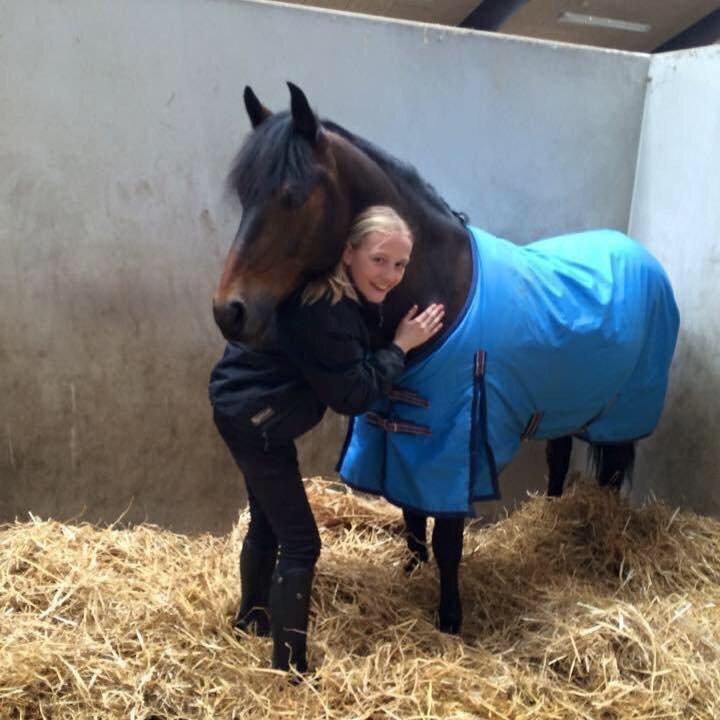 New Forest Rodlease Tango billede 2