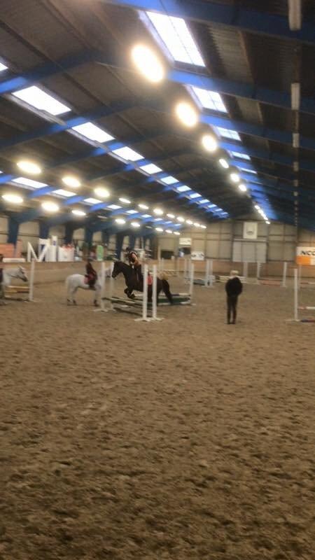 New Forest Rodlease Tango - Springning!<33:-) billede 4