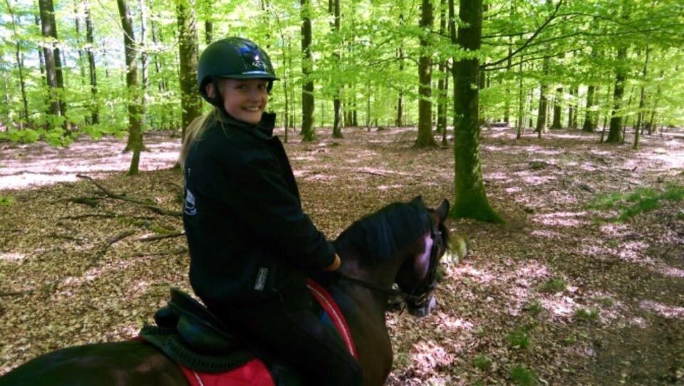 New Forest Rodlease Tango billede 14