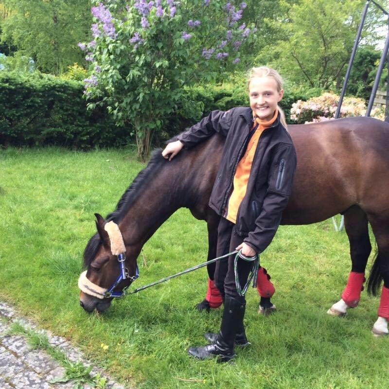 New Forest Rodlease Tango - Tango ser hvor jeg bor!<33 billede 1